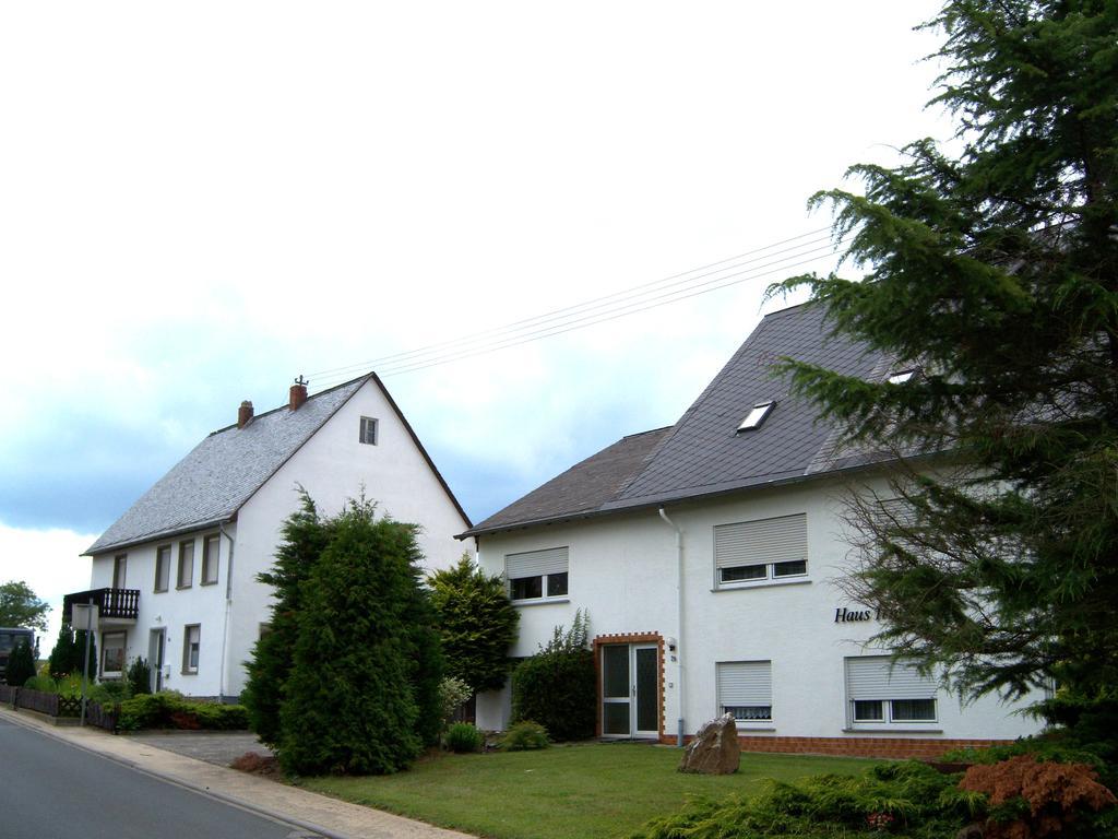Villa Haus Irmgard à Schlierschied Extérieur photo