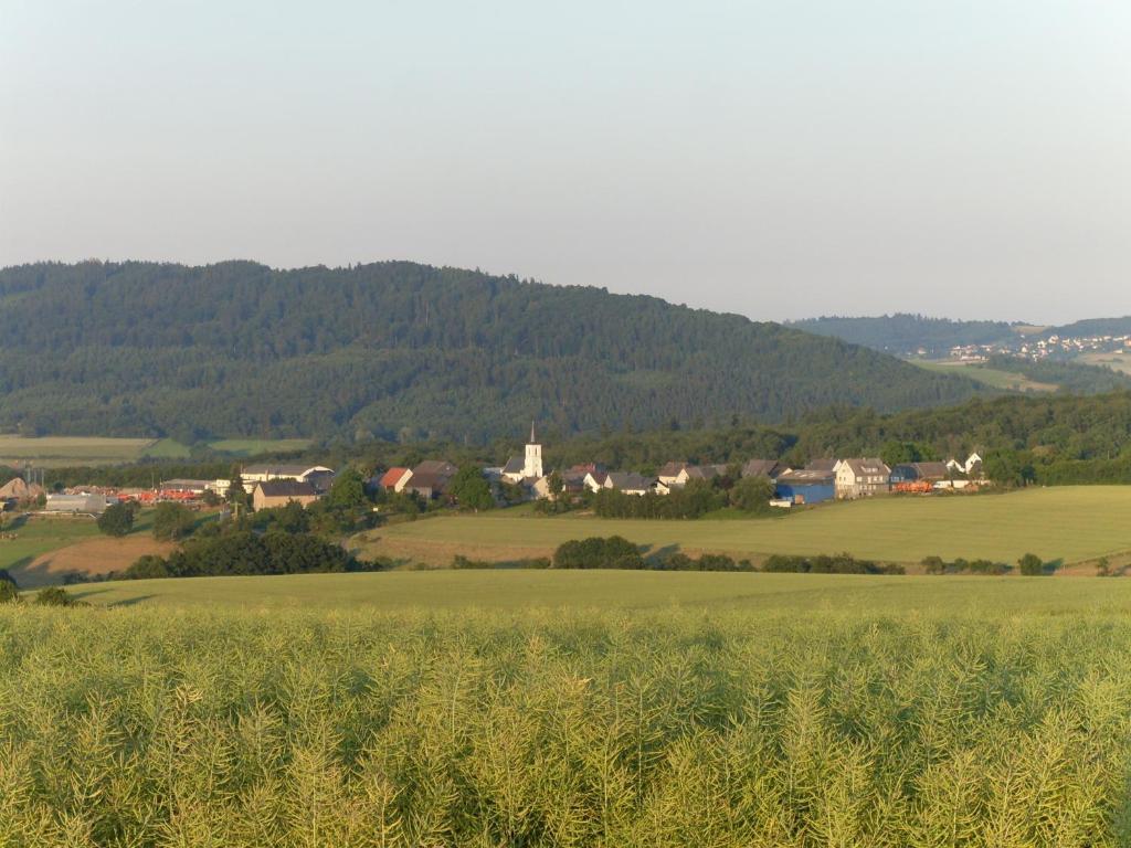 Villa Haus Irmgard à Schlierschied Extérieur photo